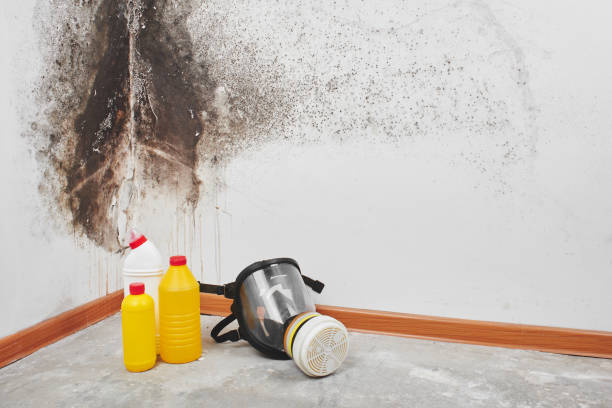 Best Commercial Mold Removal  in Centerville, IA