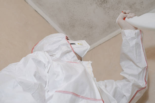 Best Local Mold Removal Service  in Centerville, IA